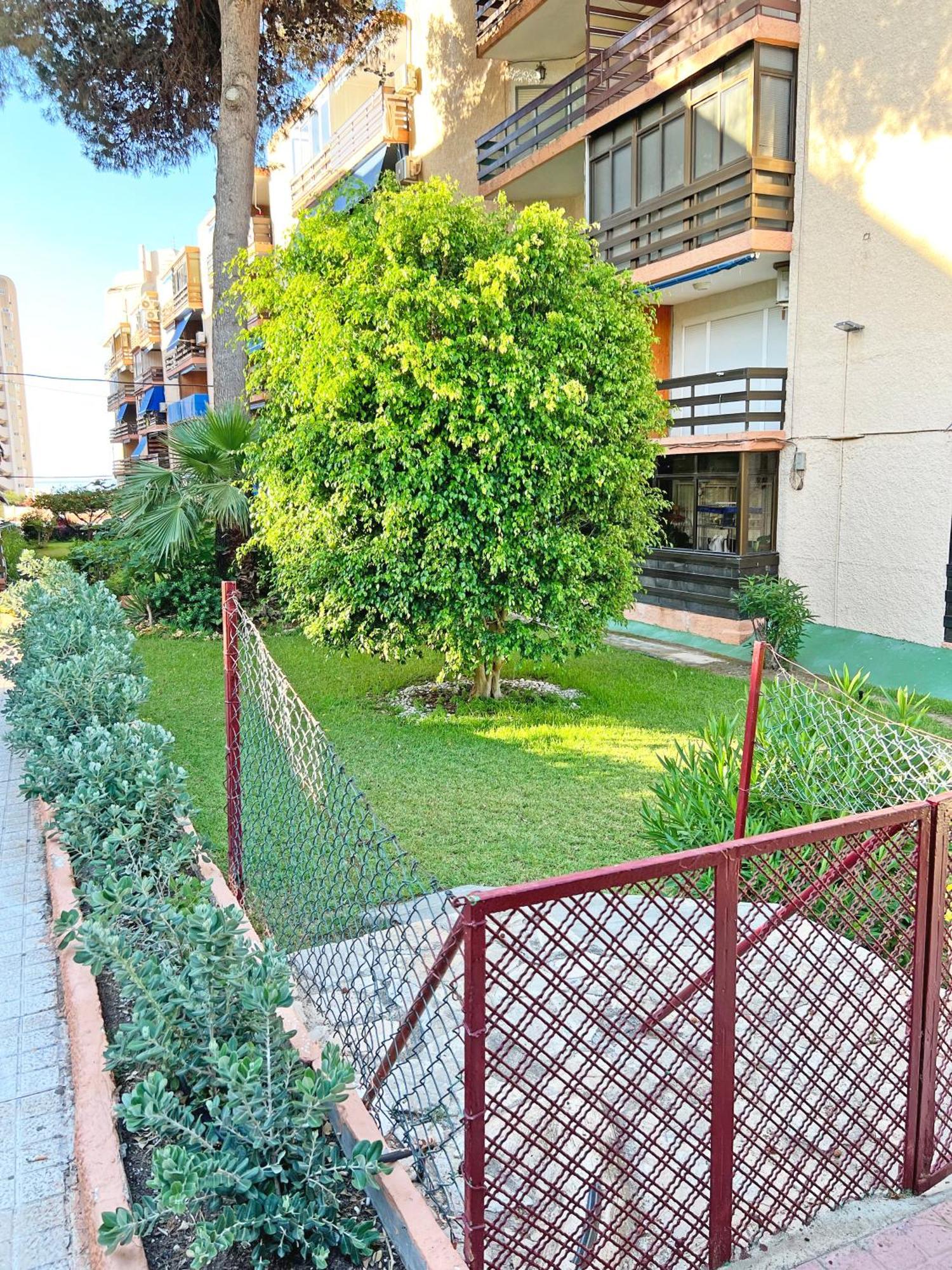 Coqueto Con Piscina, Nuevo A 50M Del Mar, Parking Gratis Apartment El Campello Exterior photo