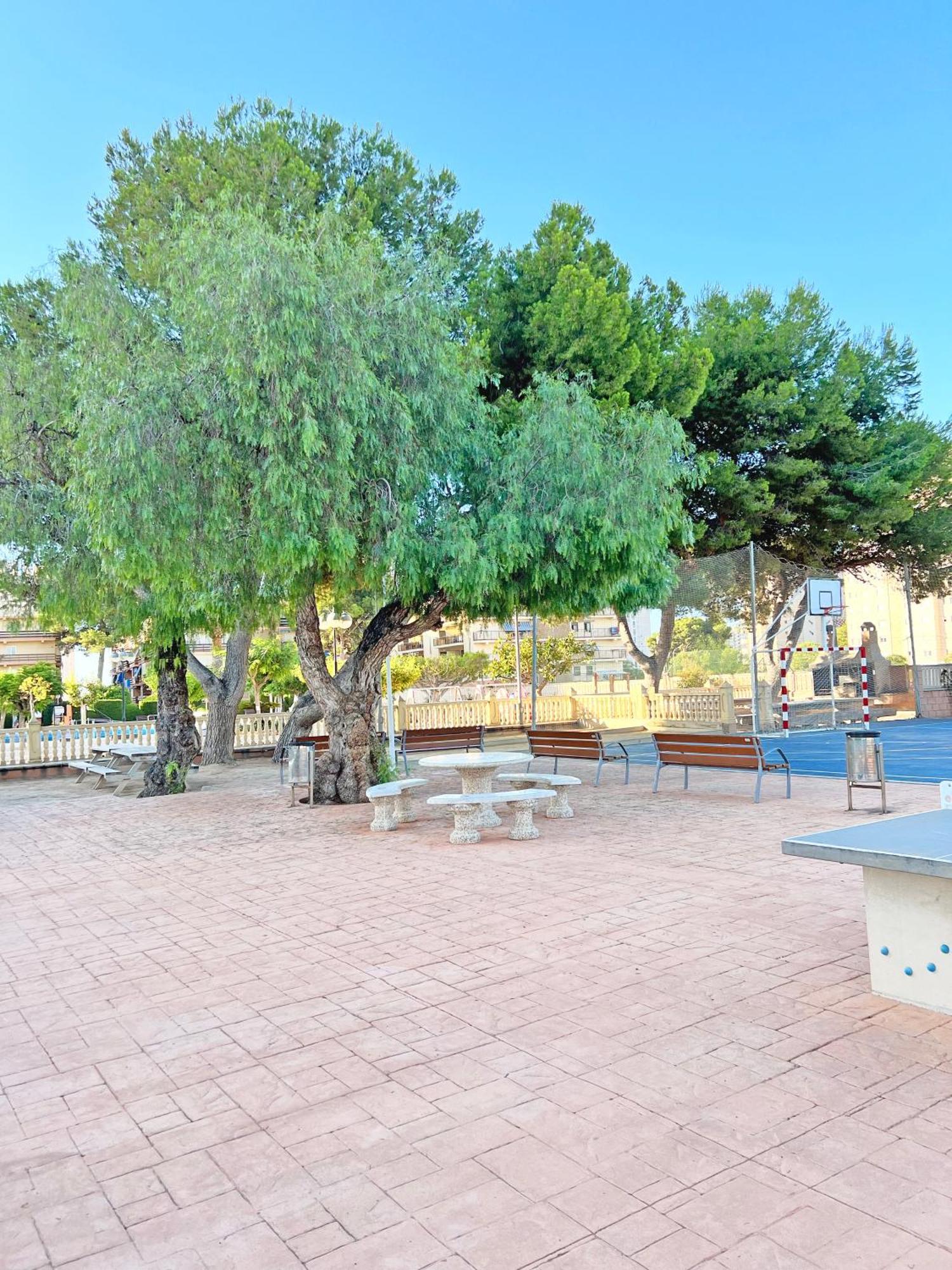 Coqueto Con Piscina, Nuevo A 50M Del Mar, Parking Gratis Apartment El Campello Exterior photo